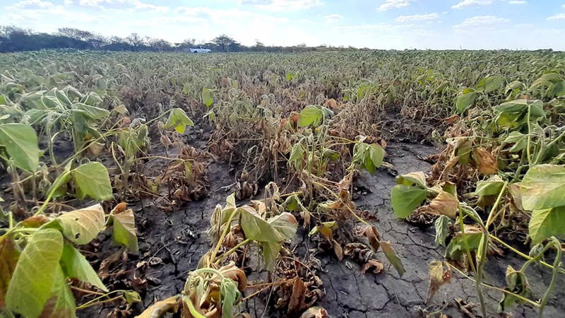 noticiaspuertosantacruz.com.ar - Imagen extraida de: https://news.agrofy.com.ar/noticia/211922/lluvias-solo-compensaron-perdidas-evaporativas-como-quedaron-reservas-agua