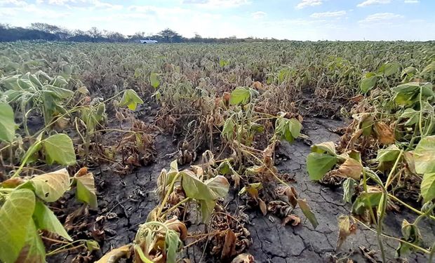 Las lluvias sólo compensaron las pérdidas evaporativas: cómo quedaron las reservas de agua