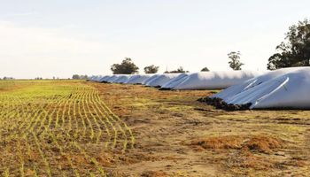 El financiamiento al agro alcanzó el tercer nivel más alto del siglo, impulsado por el crédito en dólares
