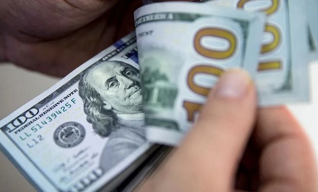 Cómo cerró el dólar para el agro tras la derrota oficial en las elecciones