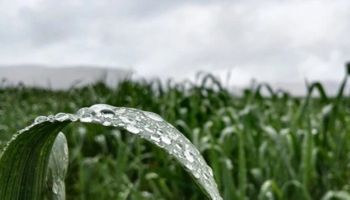 Lluvias importantes para las fiestas: aseguran que cambió la lógica para la zona núcleo