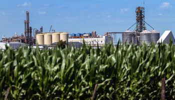 Reclaman aumentar el corte de bioetanol y aseguran que el sector le permitió ahorrar al país US$ 619 millones