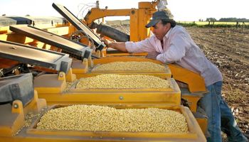 Costos en alza: la guerra ya encareció hasta un 22 % el gasoil y podría subir un 11 % el costo del trigo