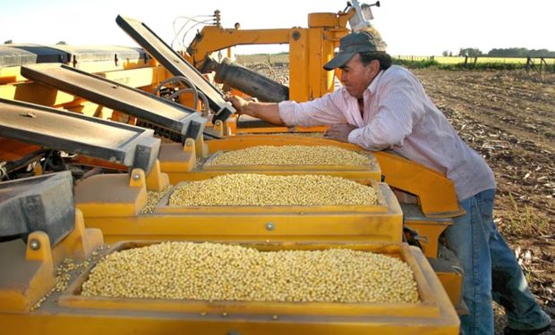 Costos en alza: la guerra ya encareció hasta un 22 % el gasoil y podría subir un 11 % el costo del trigo