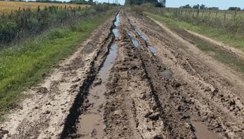 Histórico: un juez dictó la nulidad de la tasa vial por la falta de contraprestación a los productores
