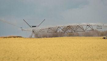 Menos impuestos: Córdoba anunció beneficios fiscales para el riego agropecuario