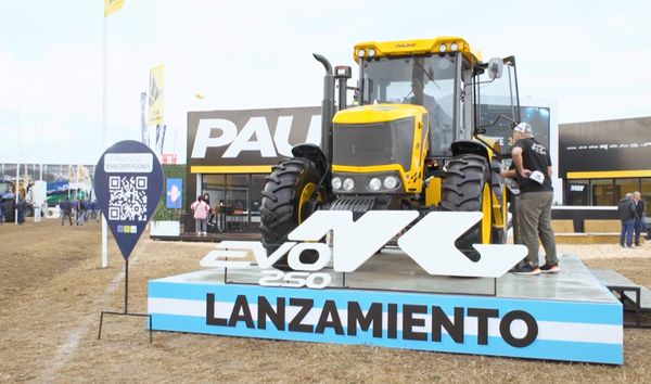 campo
