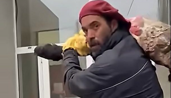 Le faenaron una vaca y llevó los restos a la municipalidad: reclamó seguridad y pidió por el intendente