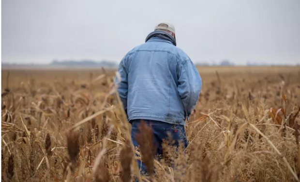 ¿Y la salud mental en el campo? Lo que revela un estudio y la solución que encontraron para prevenir suicidios