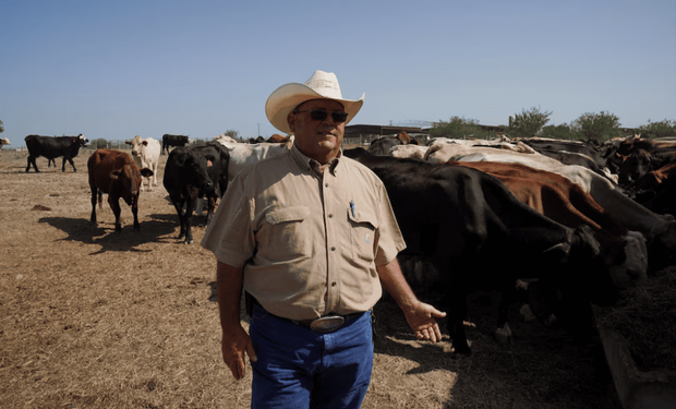 El punto de inflexión que vive la ganadería estadounidense luego de que el stock ganadero alcance un mínimo desde 1951