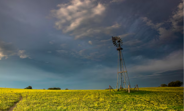 Para el campo: en qué zonas va a llover durante la próxima semana