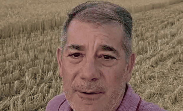 “Si un país no tiene quien produzca alimentos, nunca va a salir adelante”: un productor chaqueño logra la primicia triguera con rindes de 2000 kg/ha
