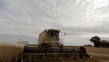USDA: no hubo grandes modificaciones para la cosecha en Argentina