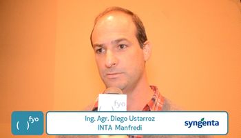Siembra tardía de maíz impacta en la proliferación de malezas
