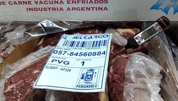 Las exportaciones de carne vacuna cayeron 5% en septiembre y preocupa el retroceso de los precios internacionales