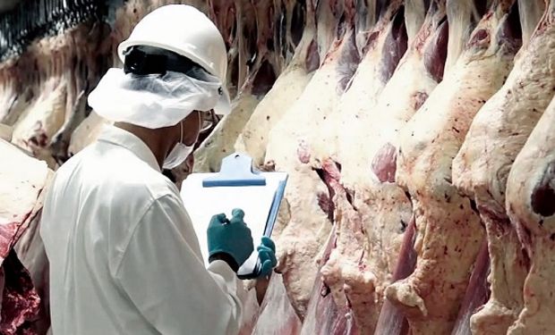 Dólar carne: frigoríficos piden un tipo de cambio especial para enfrentar las pérdidas de Precios Cuidados