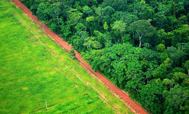 Segundo pesquisa, 65,6% do total de terra foi convertida em área agrícola. (foto - divulgação IBGE)