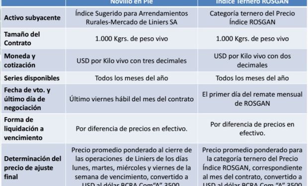 Principales características de los futuros ganaderos.