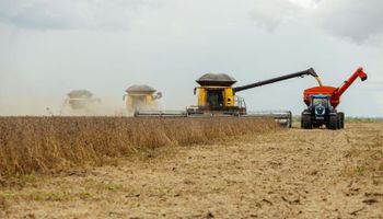 Caramuru projeta salto de 50% na soja não transgênica em Mato Grosso