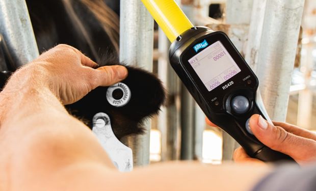 Se reglamentó el uso de la caravana electrónica para 2026: cómo se debe aplicar e informar al Senasa