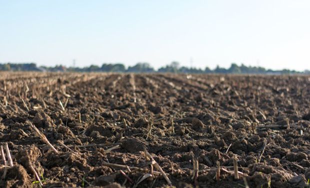 Se aceleró el Programa Argentino de Carbono Neutro: "El mundo en estos meses hizo un salto de 5 años hacia adelante"