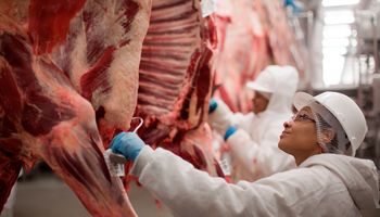 Ritmo de exportação da carne bovina diminui oferta interna, apesar de alta na produção