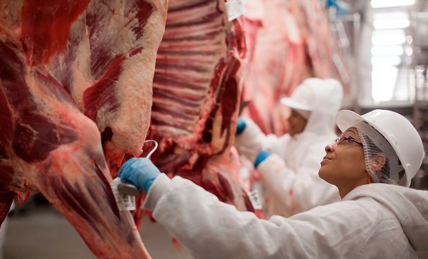 Ritmo de exportação da carne bovina diminui oferta interna, apesar de alta na produção