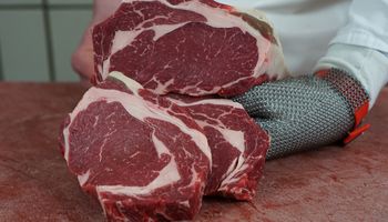 Efeito China: exportação de carne bovina caiu 20% em março