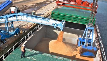 Egipto rechazó un cargamento de trigo argentino
