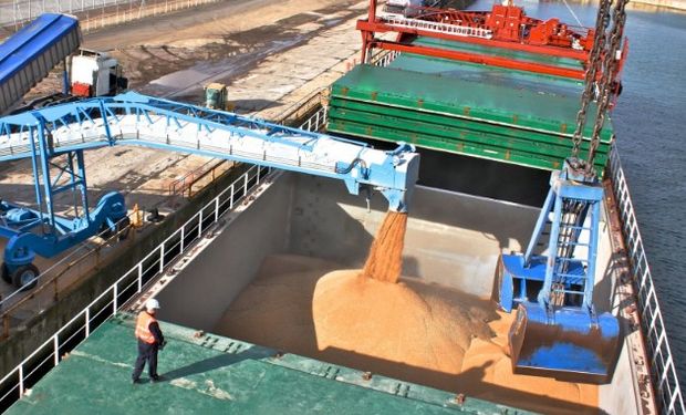 Egipto rechaza cargamentos de trigo de Argentina y de Rusia.