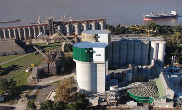 "Me da mucha tristeza": el lamento de una de las empresas que más exporta en Argentina por las políticas que impactan en el agro