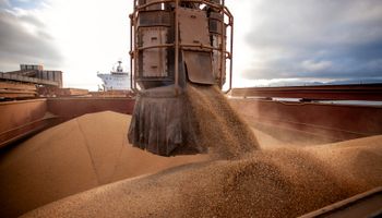 Cargill suspende exportação de soja do Brasil para a China após mudança em inspeção