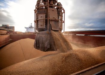 Cargill suspende exportação de soja do Brasil para a China após mudança em inspeção