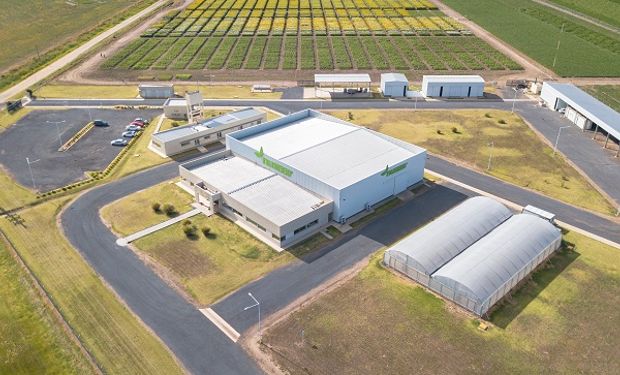 Con una fuerte apuesta a la carinata, semillera inauguró un centro de innovación en Venado Tuerto