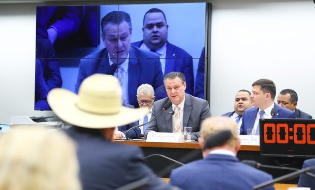 Carlos Fávaro participou de audiência pública da Comissão de Agricultura (Foto - Vinicius Loures/Câmara)