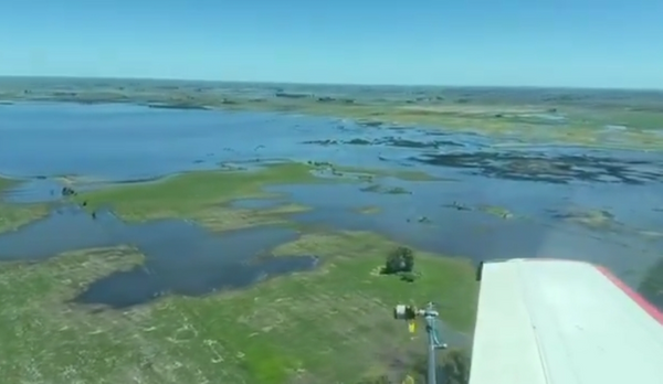 campo carlos casares