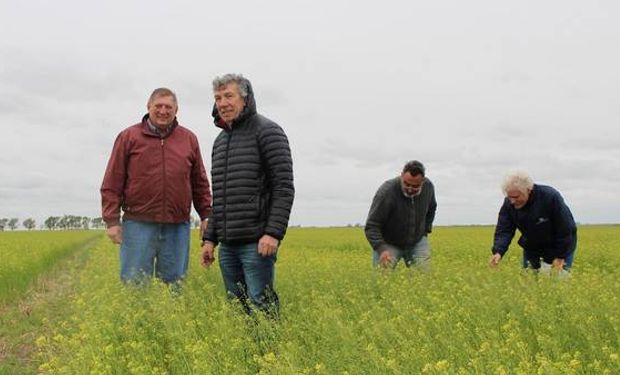 Dwayne Johnson, Carlos Rubione, Marcelo Vignaroli y Adrian Morganti en ensayos de camelina en Pigué.