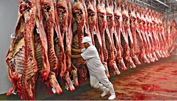 México bate EUA e vira 2º maior importador de carne bovina brasileira