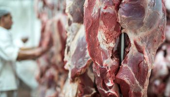 ¿La carne deja de tener incidencia en la inflación?