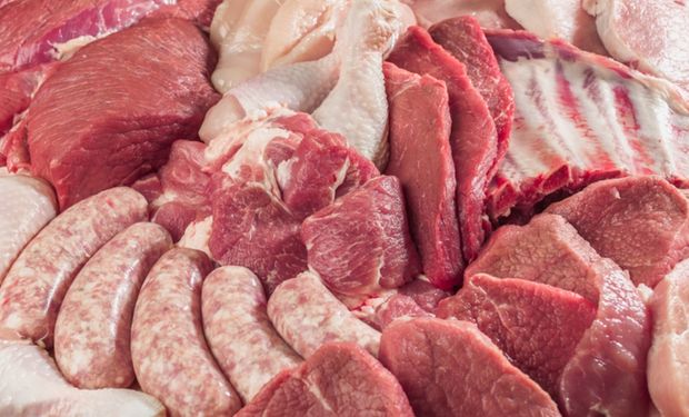 Mapa promete expandir o mercado de carnes para a União Africana