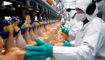 Se oficializó el aumento salarial para los trabajadores avícolas 