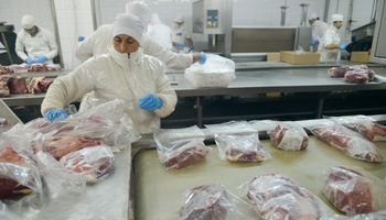 Se abre un nuevo negocio para la carne argentina en China con valores que rondan los 5000 dólares