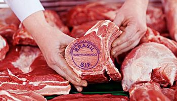 Cotação da arroba bovina tem impulso com aumento da exportação