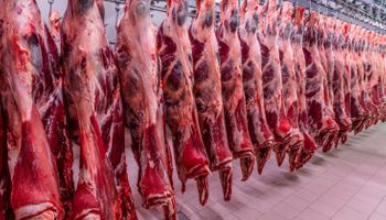 Vietnã habilita mais quatro frigoríficos brasileiros para exportação de carne bovina