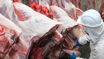 IBGE: deflação de carnes pode ser efeito da suspensão de exportação à China