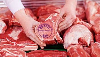 Exportação recorde sustenta preço da arroba bovina no mercado doméstico
