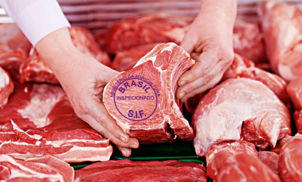 Os sérvios já compram mais de US$ 15,4 milhões em carne bovina do Brasil em 2022. (foto - arquivo)