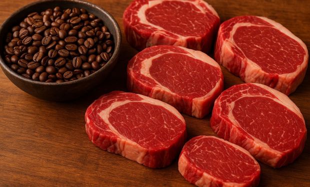 Carne e café lideram pressão do agro por fim do tarifaço após reunião Brasil-EUA