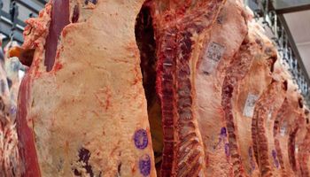 Crece 54% la importación china de carne vacuna
