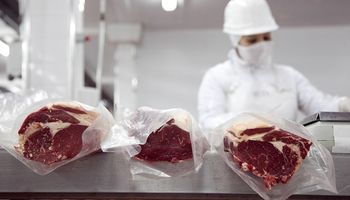Destacan las oportunidades para sector de la carne tras el acuerdo Mercosur-UE